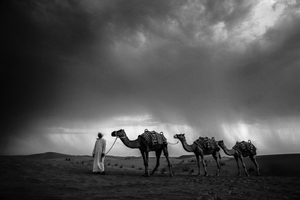 Dubai Desert Safari