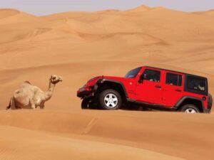 Hummer Safari Dubai-Booking