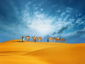 Desert Safari-Dubai Booking