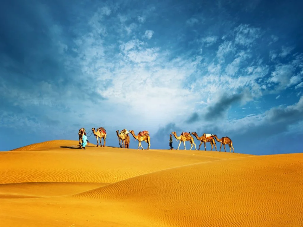 Desert Safari Dubai Booking