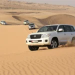 Desert Safaris Dubai Bookings