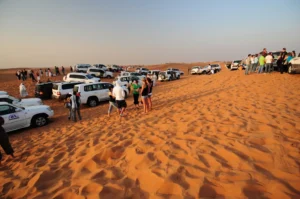 Best Desert Safari Dubai Booking 