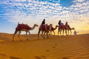 Camel riding experience during Arabian desert tour booking in Dubai desert landscape