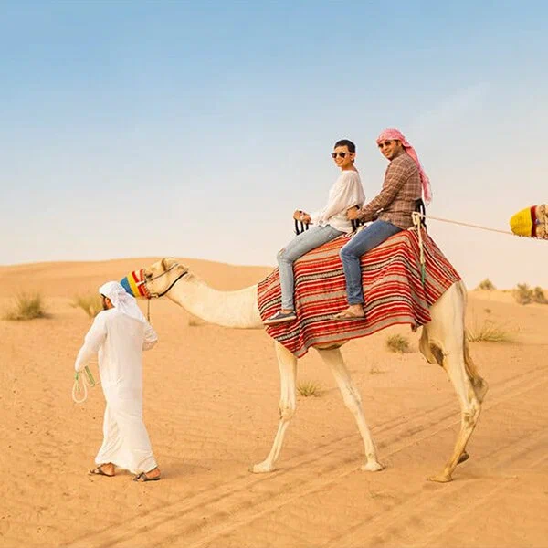 Arabian Desert Tour Booking Online in Dubai 