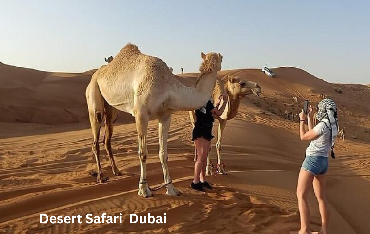 Affordable Family Desert Safari Booking Dubai Tour Packages