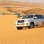 Dubai evening desert safari pickup included from hotel