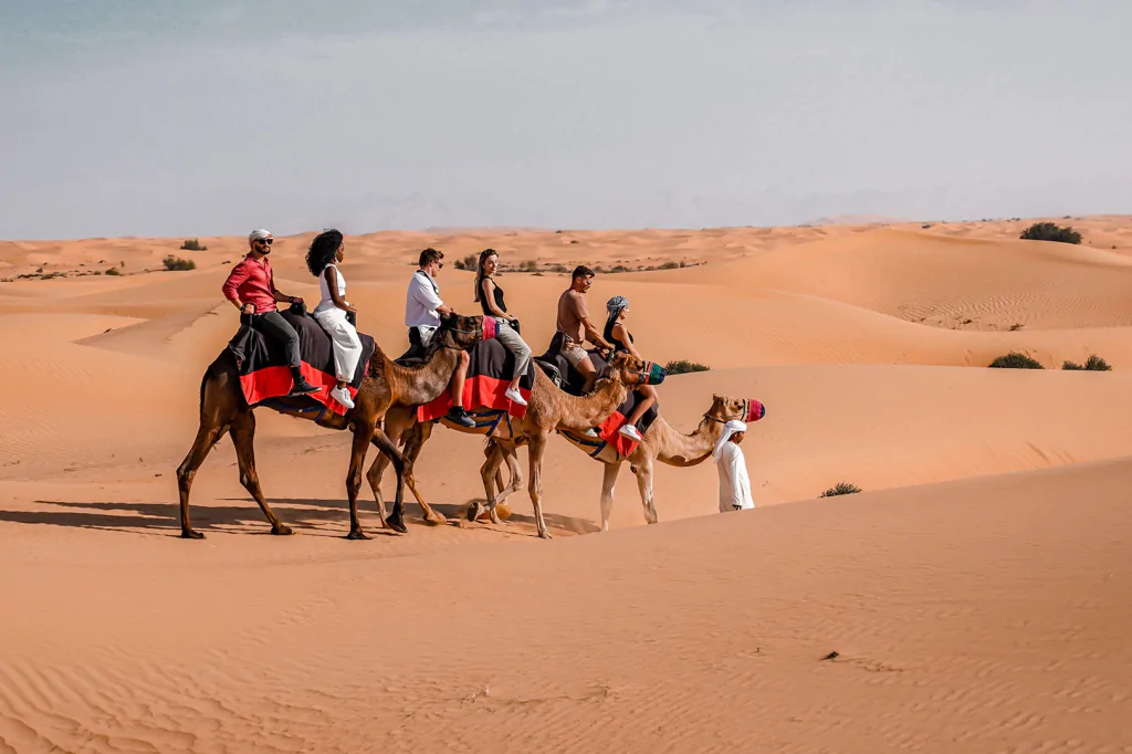 Arabian Desert Tour Booking Online